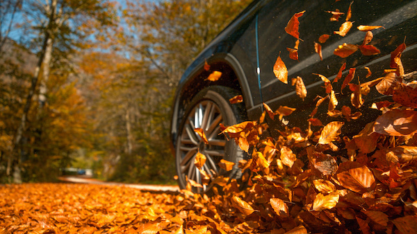 Prepping Your BMW For the Fall Season